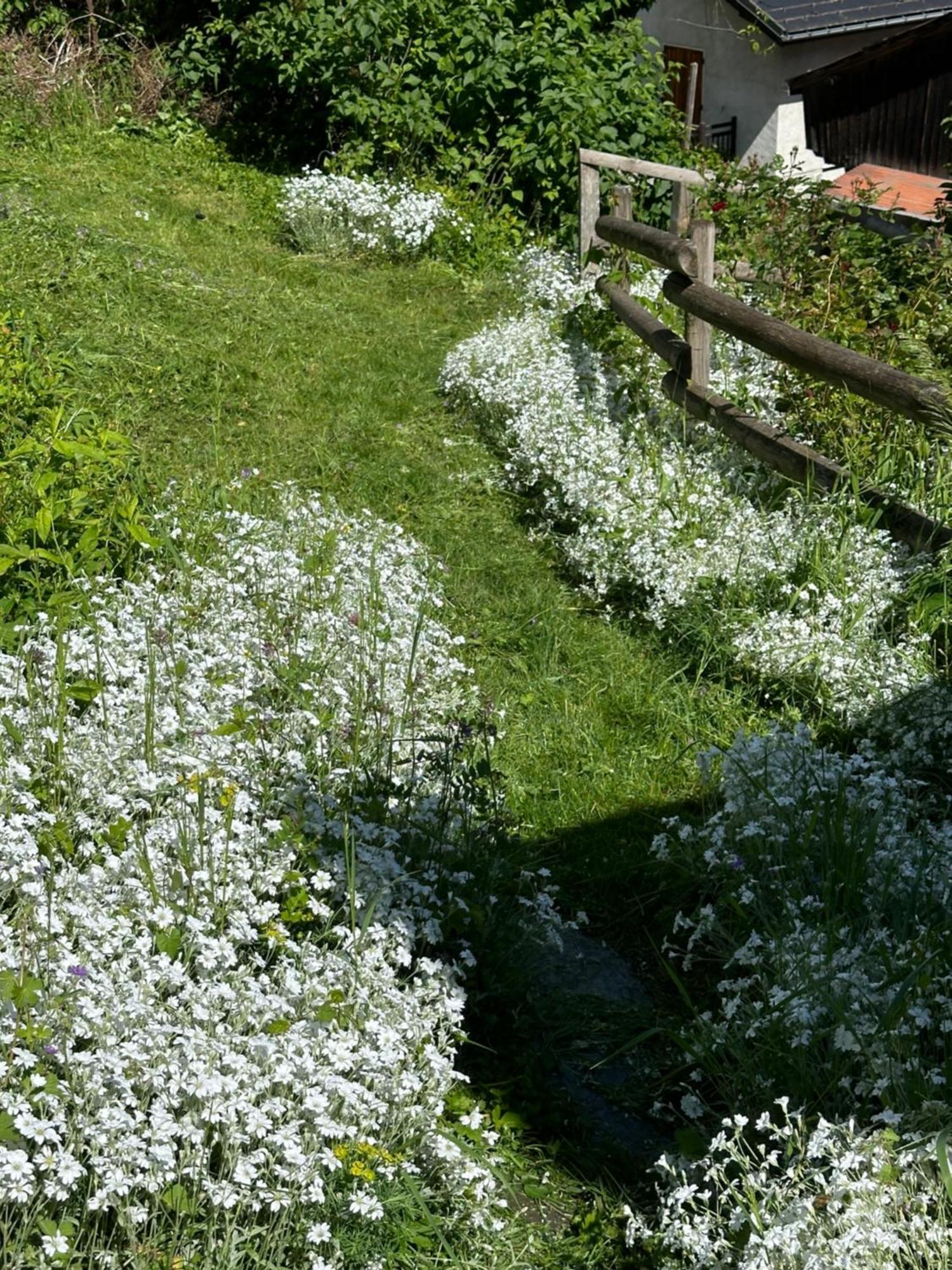 Huguette Studio 18M2 Courchevel Exteriér fotografie